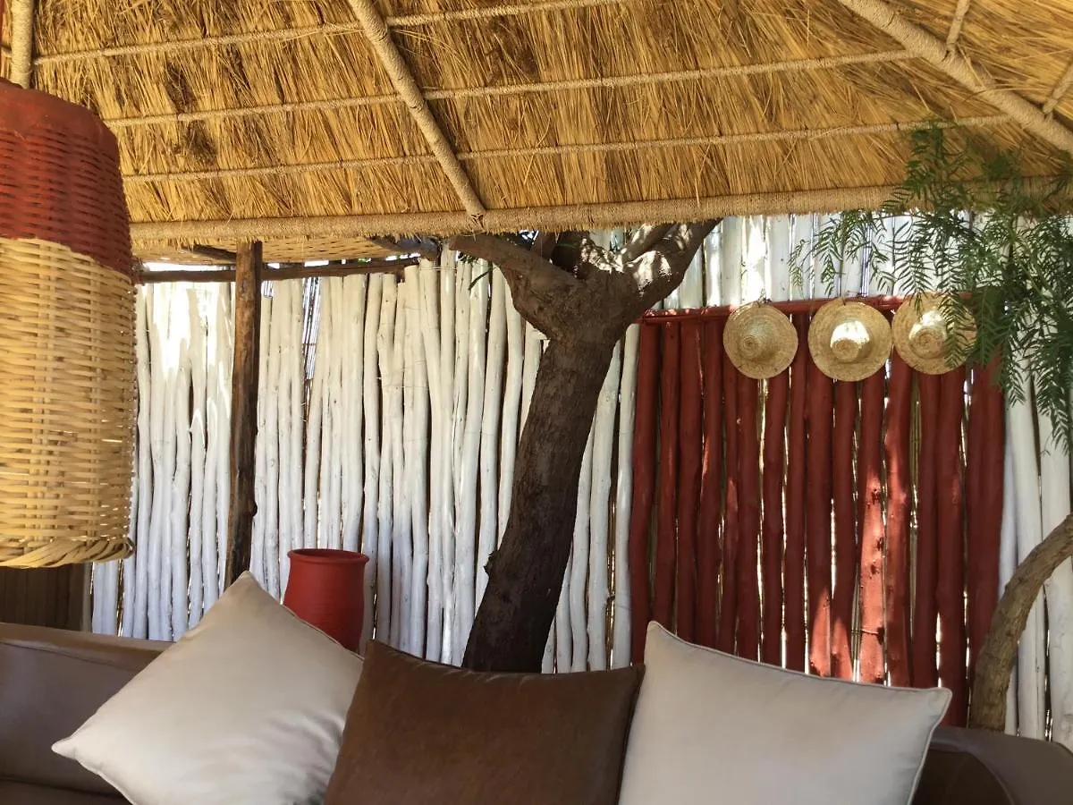 Villa 202 Commentaires 5 Etoiles Sur 3 Sites Essaouira